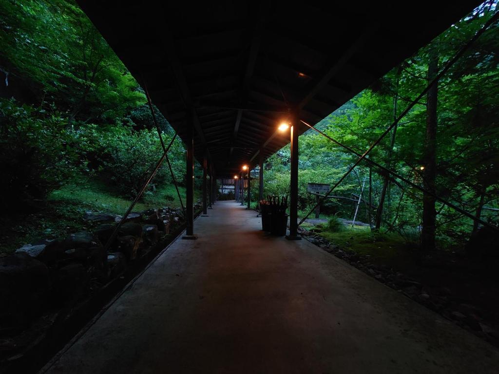 箱根Hoeiso的夜间森林中带顶棚的走道
