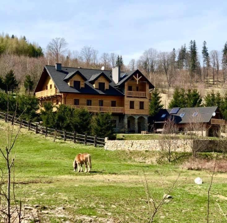 克莱诺Agroturystyka Patynówka的一个大房子前面的田野里放牧的马