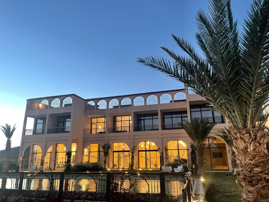 瓦尔扎扎特kasbah yu palace的前面有棕榈树的建筑