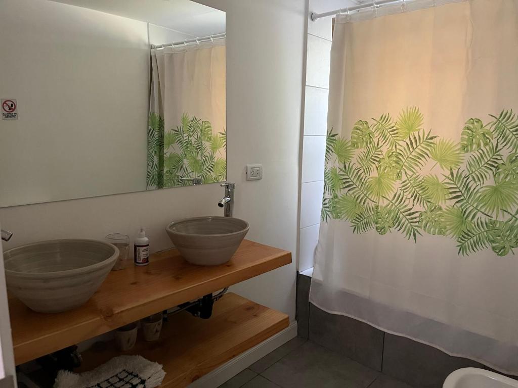 圣卡洛斯-德巴里洛切El Arroyo del Sur的浴室配有盥洗盆和带镜子的淋浴