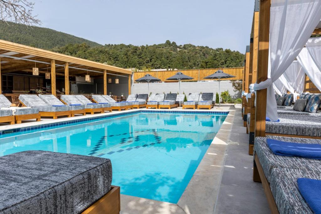 斯基亚索斯镇Skiathos Theros, Philian Hotels and Resorts的一个带躺椅的游泳池