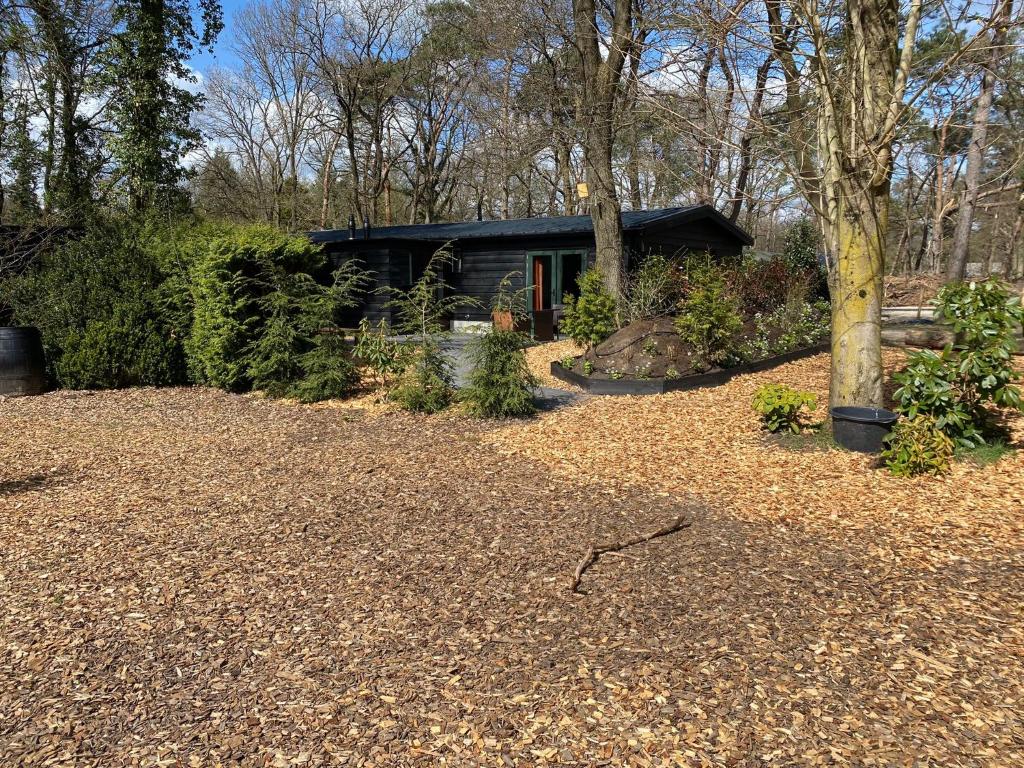 奥特罗De Veluwse bos Lodge的花园里的一座房子,有碎石院