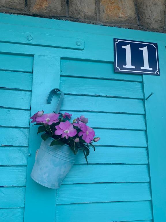 斯塔利格拉德-帕克利尼卡Petite house的蓝色的门,上面有一壶鲜花