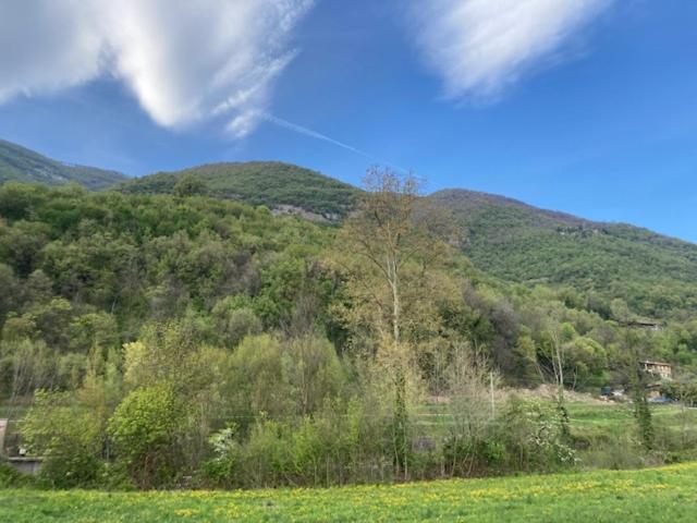 Villanuova sul clisiAL CLISI graziosa mansarda的绿树成荫的山坡和田野