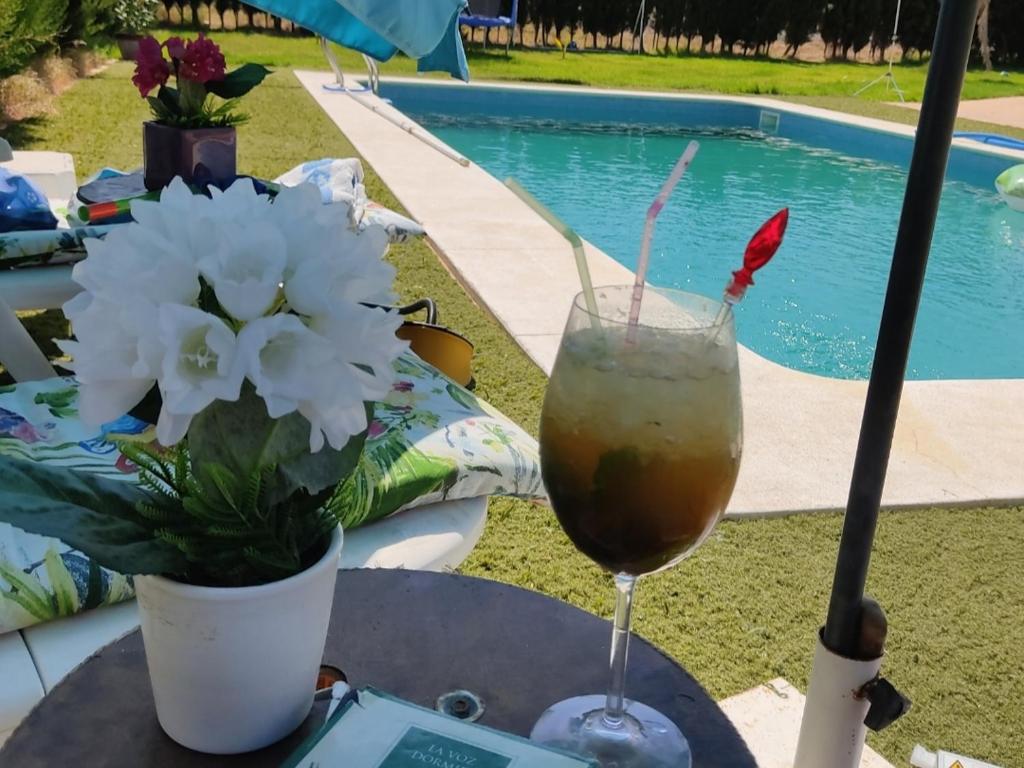 韦尔瓦Casa Villa El Olivar的坐在游泳池旁的桌子上喝一杯