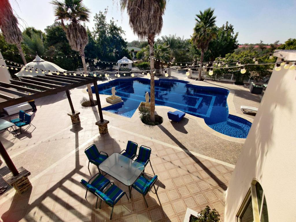 阿布扎比Sara Farm的享有带蓝椅和棕榈树的游泳池的顶部景致