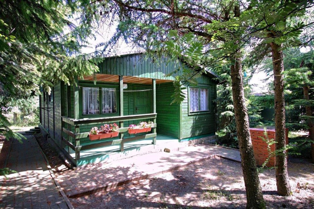 鲁斯诺沃Ośredek Wypoczynkowy MEDUSA的两扇窗户和一些树木的绿色房子