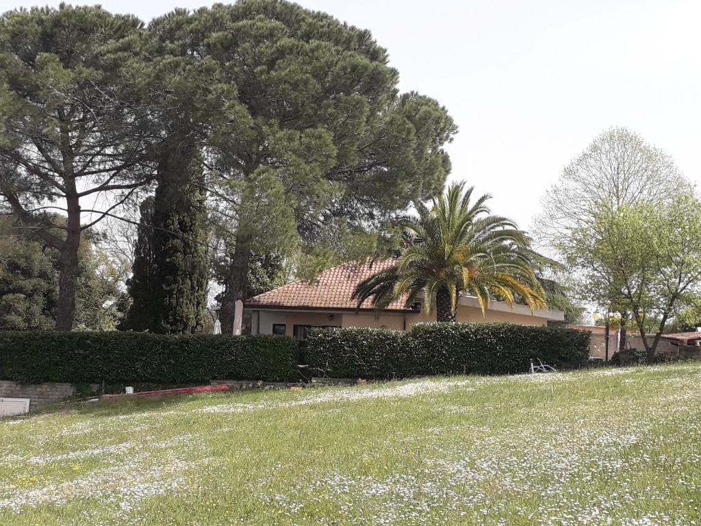 罗马Villa Del Rubbio的一座有树木和院子的山丘上的房子