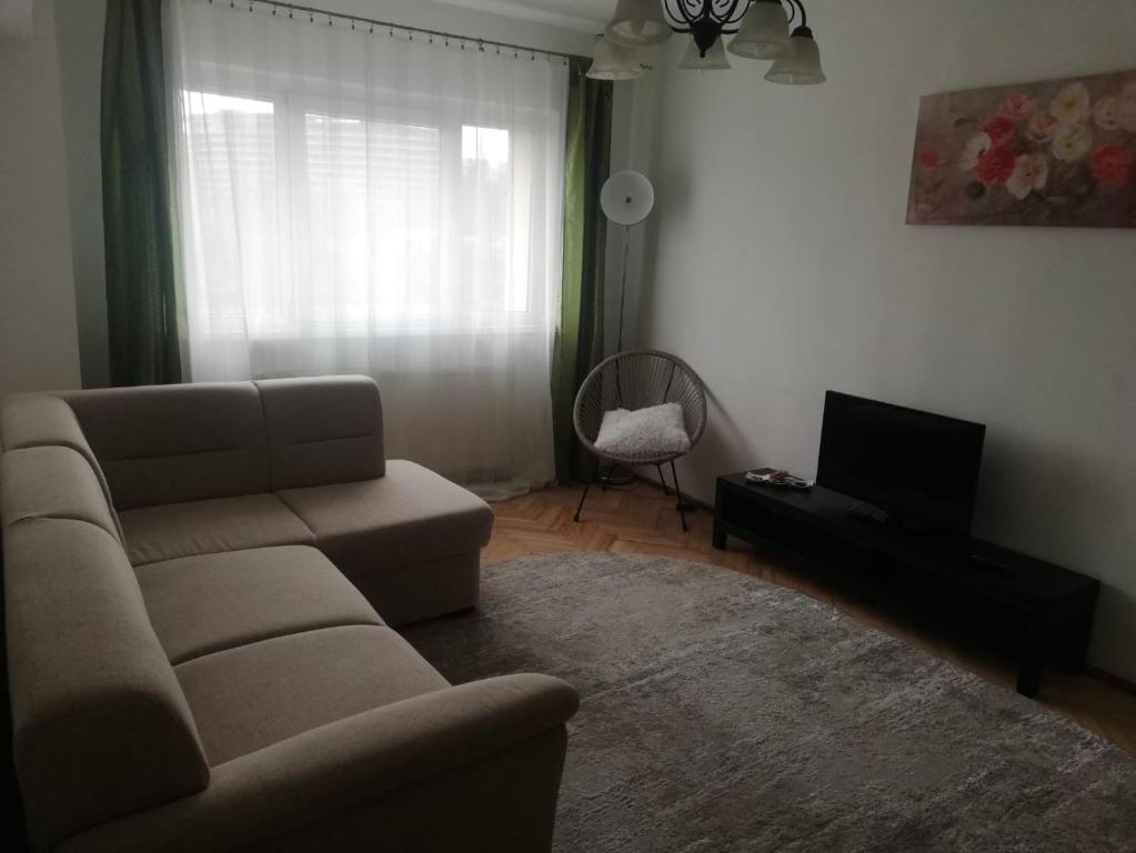 克卢日-纳波卡Apartament Dodo的带沙发和电视的客厅