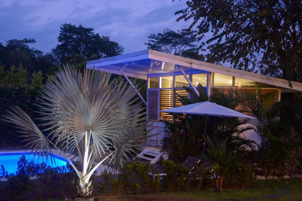 普拉亚埃尔莫萨Soul Sync Sanctuary formally Hacienda la Moringa的一座房子,前面有一座游泳池和一棵棕榈树