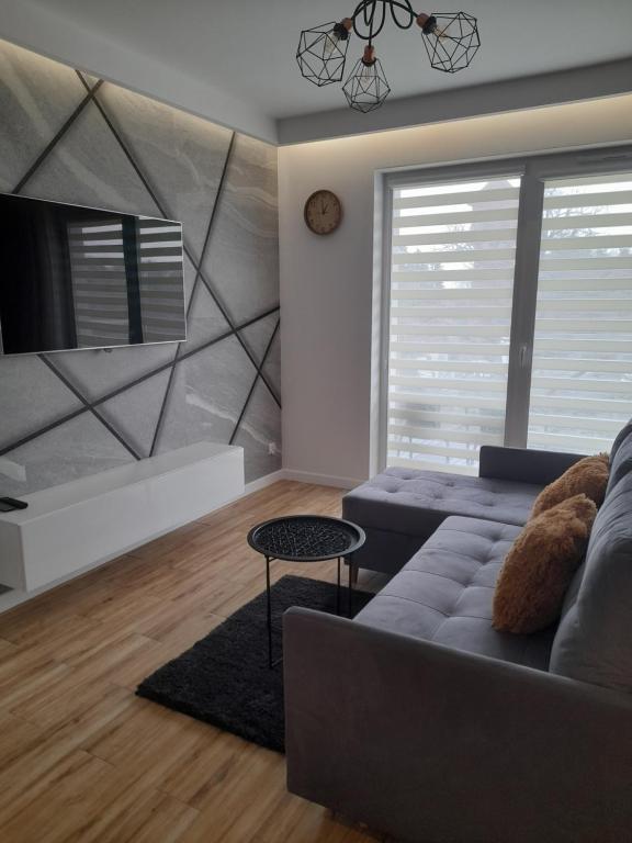 巴尔托希采Apartamenty Bartoszyce 2的带沙发和电视的客厅
