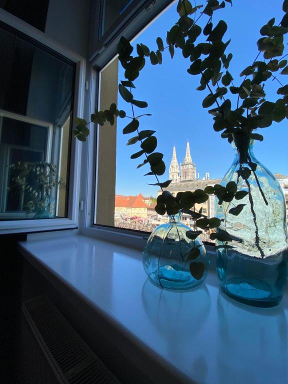 萨格勒布Apartments DOLAC 1 Zagreb的两瓶花坐在窗台上,里面花