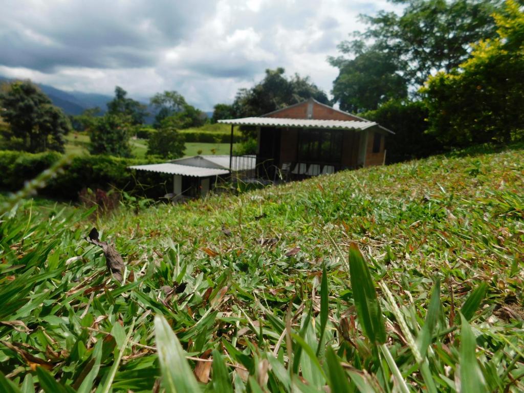 PotosíCasa Campo alojamiento campestre para descanso en Calarcá Quindío的草场中央的凉亭