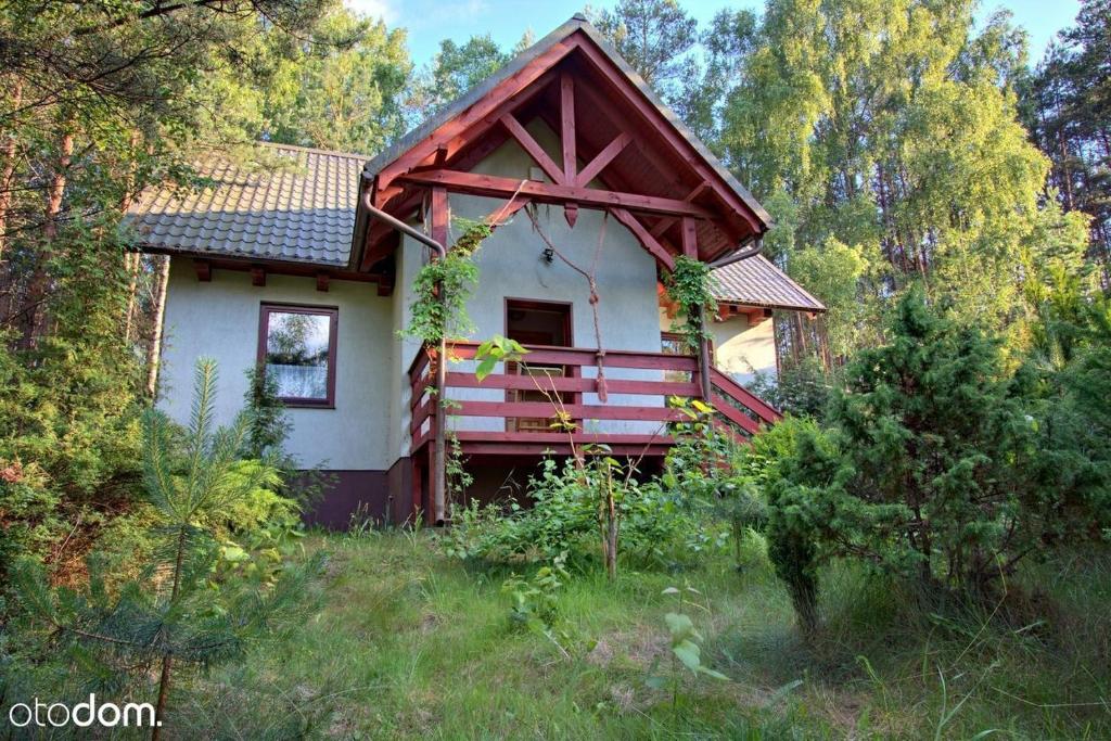 KlocekDom całoroczny w Borach Tucholskich的森林中间的小房子