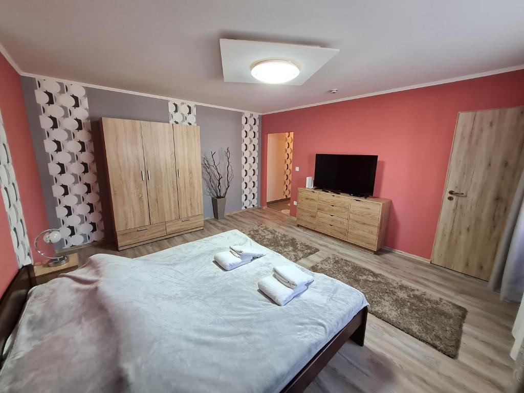 塔塔班亚Tatabánya Újvárosi lakás的一间卧室配有一张大床和一台平面电视