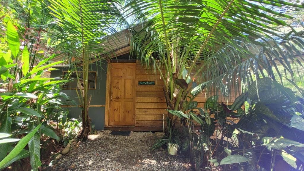 乌维塔Private jungle “Loft del Rio” river access的一座带木门和一些植物的房子