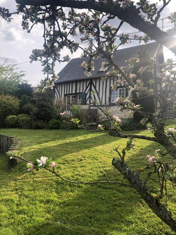 Cheffreville-TonnencourtGîte 'les matins calmes '的院子前有花树的房子