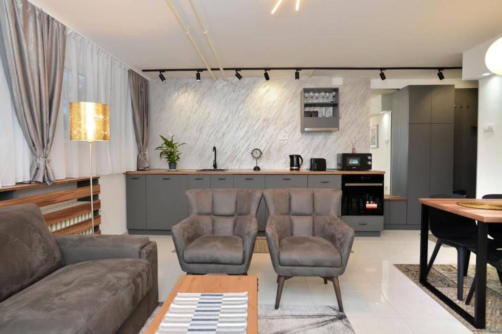 贝尔格莱德River&Bike Apartment的带沙发和椅子的客厅以及厨房。