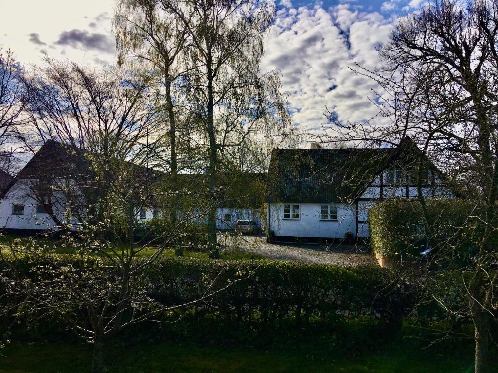 斯泰厄Hvidegaard Møn的院子里的几栋白色房子