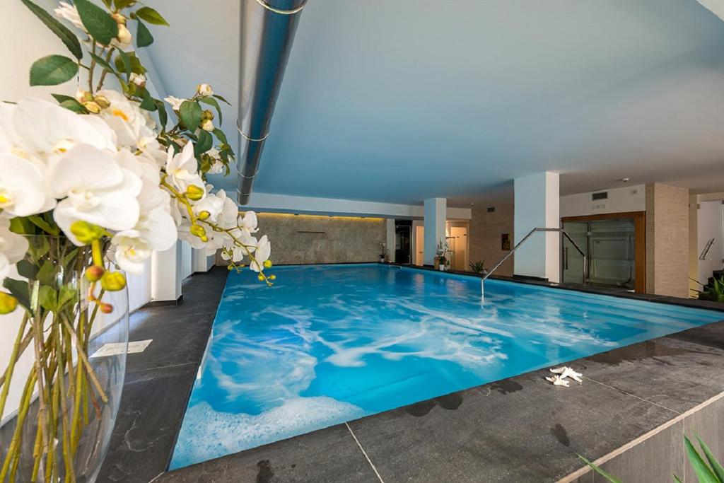 朱利亚诺瓦泽尼特酒店 的花房中的游泳池