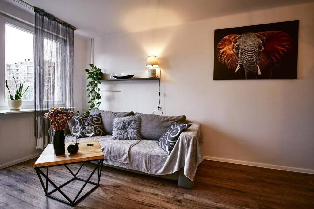 热舒夫Sienkiewicza apartament MULTI HOUSE的客厅配有沙发,墙上挂着大象画