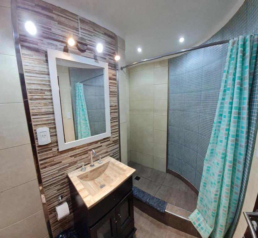 圣特雷西塔Edificio el tulipán的浴室配有盥洗盆和带镜子的淋浴