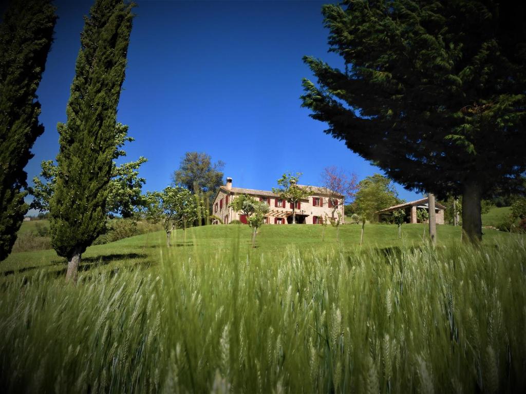 CupramontanaQuelli del Picchio的草丛中的房子