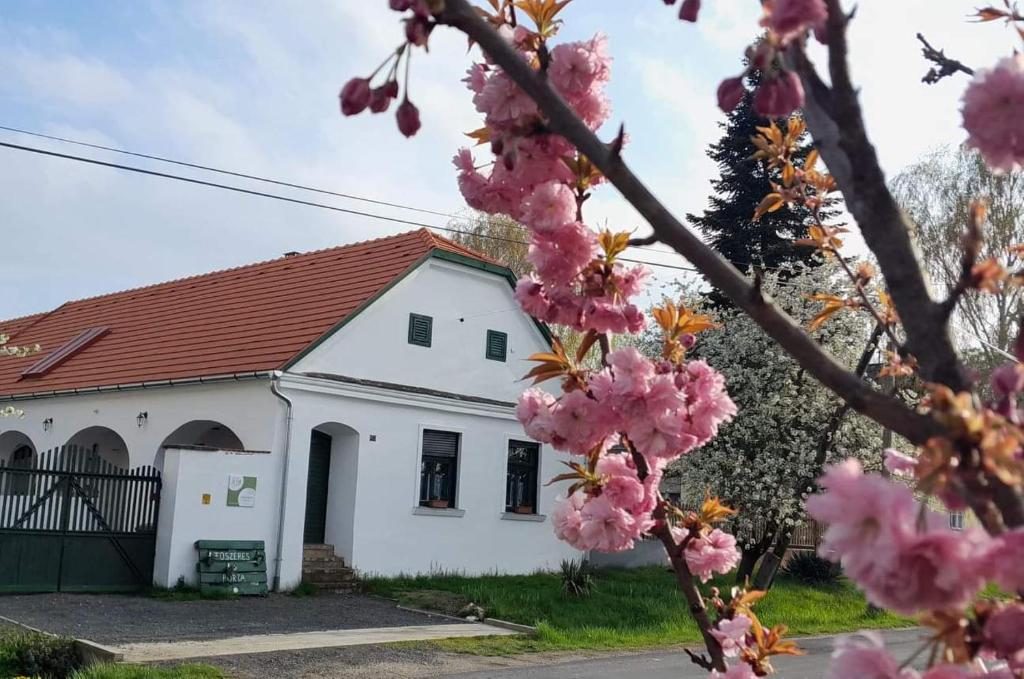 MihályfaFűszeres Porta的前面有粉红色花的白色房子