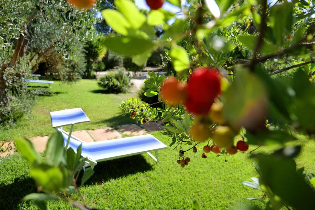 阿利米尼Missipezza Residence a Frassanito的坐在院子里草地上的蓝色长椅