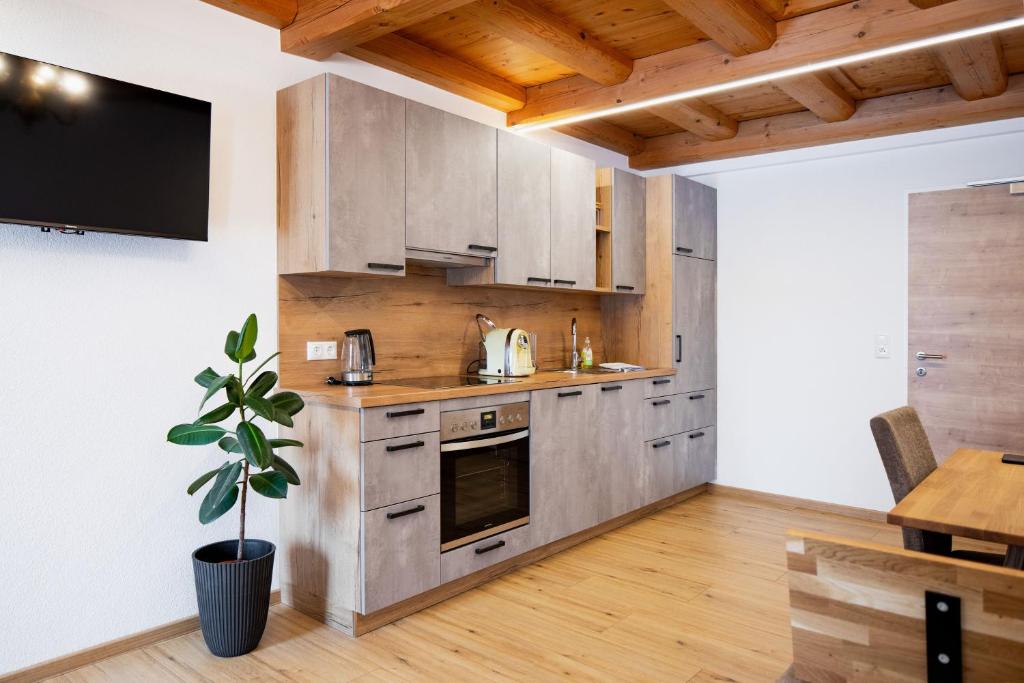 克雷姆斯明斯特Grabmayrhof的厨房配有木柜和盆栽植物