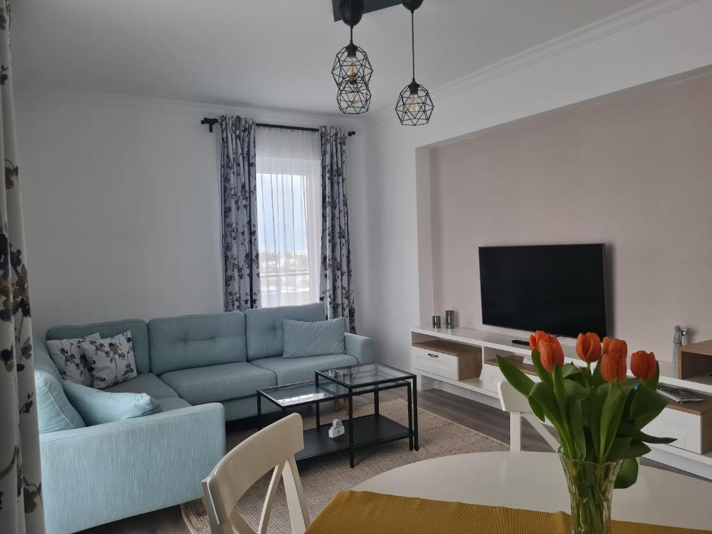泽尔内什蒂Apartament Crai的客厅配有蓝色的沙发和电视