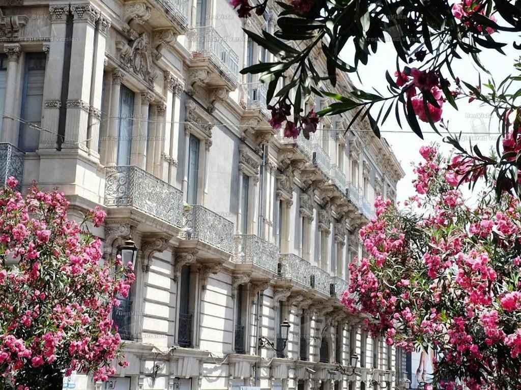 卡塔尼亚B&B Elios Rooms的一座大建筑前面有粉红色的花朵