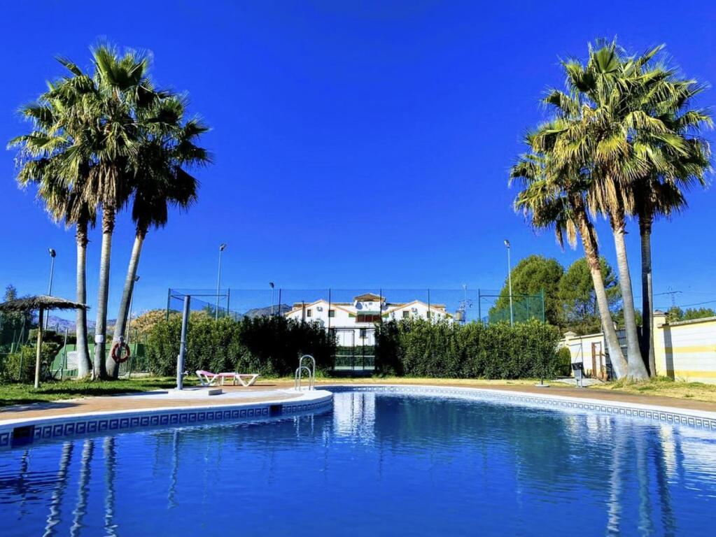隆达Hotel Ronda Valley的一座别墅前方的棕榈树游泳池
