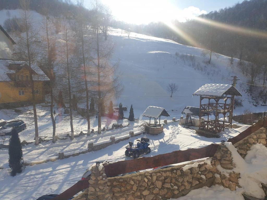 冬天的Valea lui Bogdan