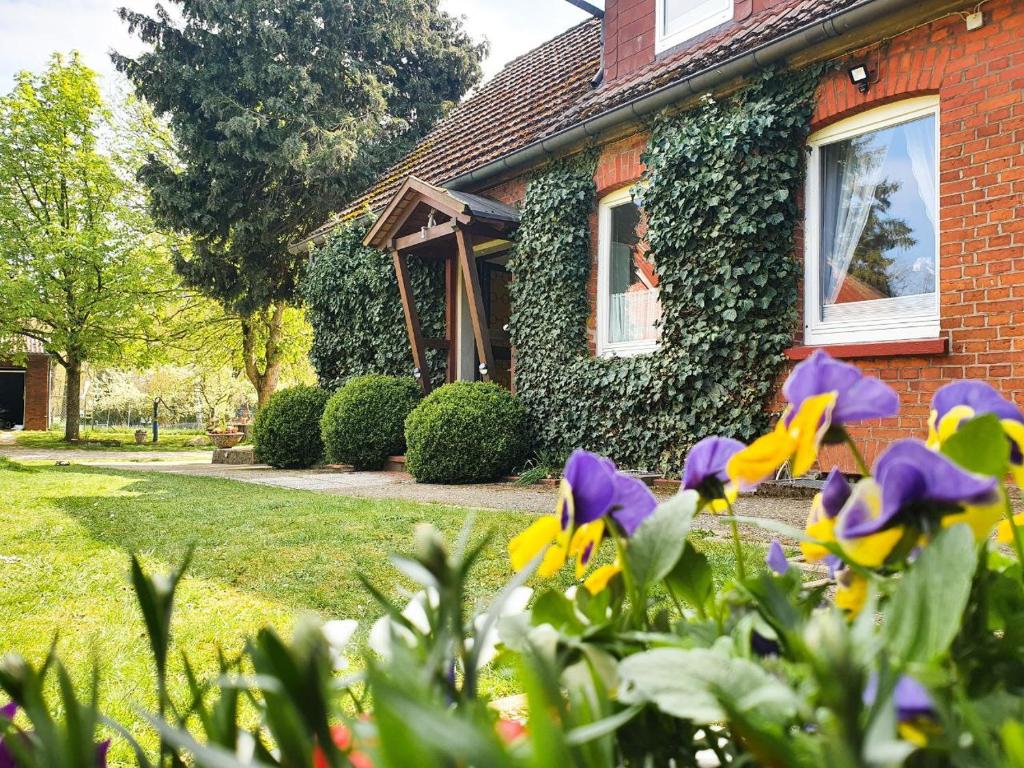 AltenmedingenAm Alten Haus的前面有紫色和黄色花的房屋