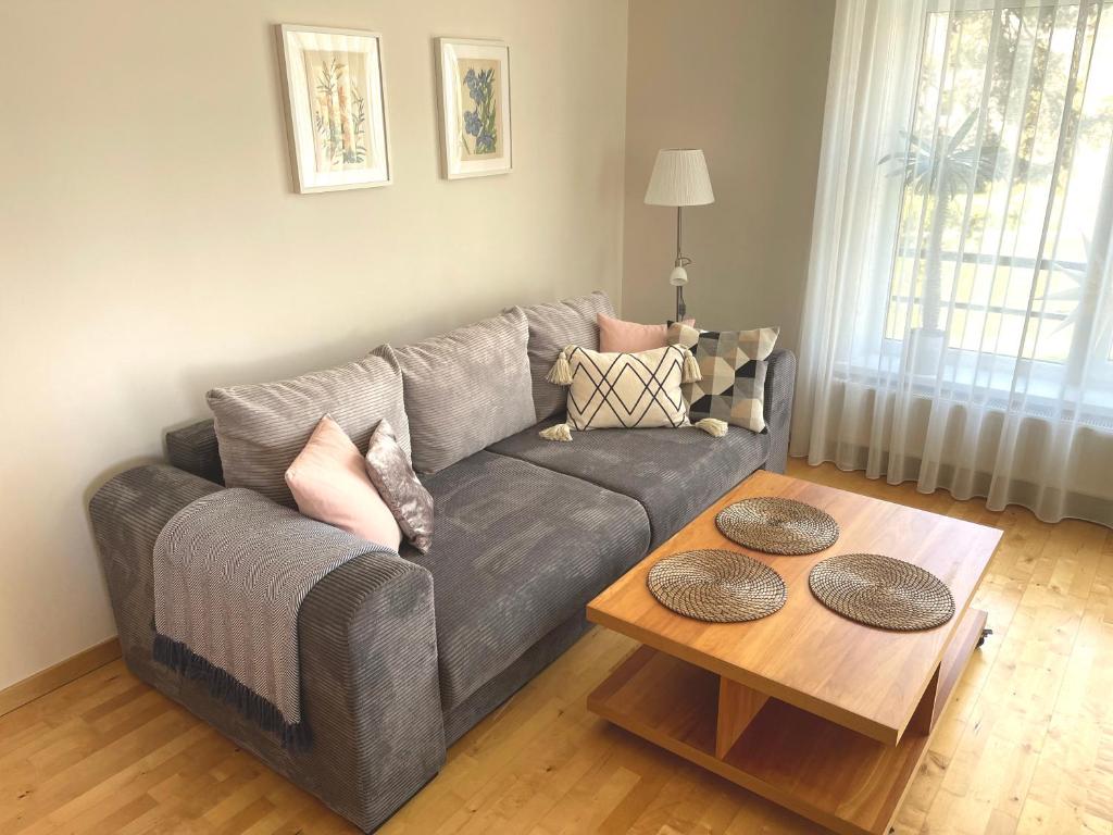 里加Cozy Home Apartment Kaivas, free parking, self check-in的客厅配有灰色的沙发和茶几