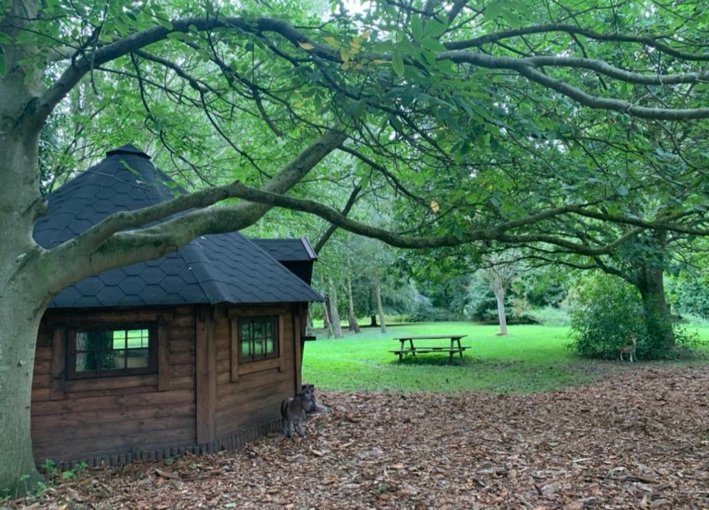 大雅茅斯Starry Meadow的树下的小木舱,配有野餐桌