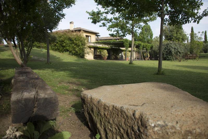 苏特里Agriturismo Scuderie della Contea的公园中央的大岩石