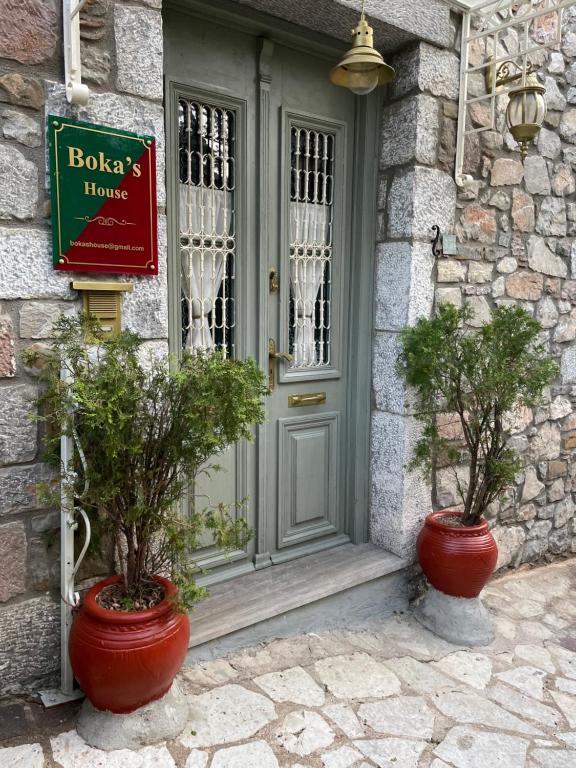 阿拉霍瓦Βoka's House的两个盆栽植物坐在门前