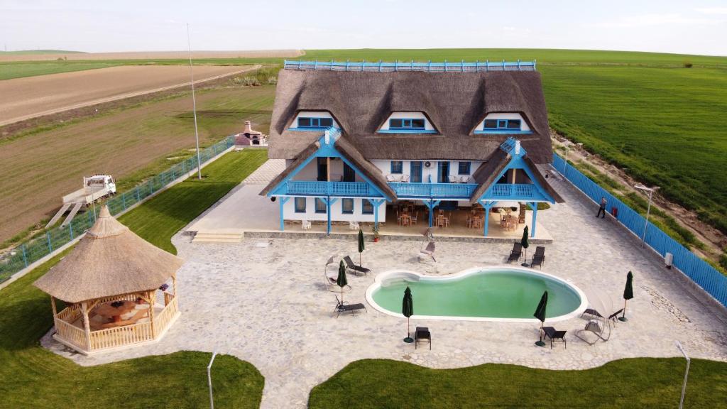 茹里洛夫卡Pensiunea Dolosman的享有带游泳池的大房子的空中景致
