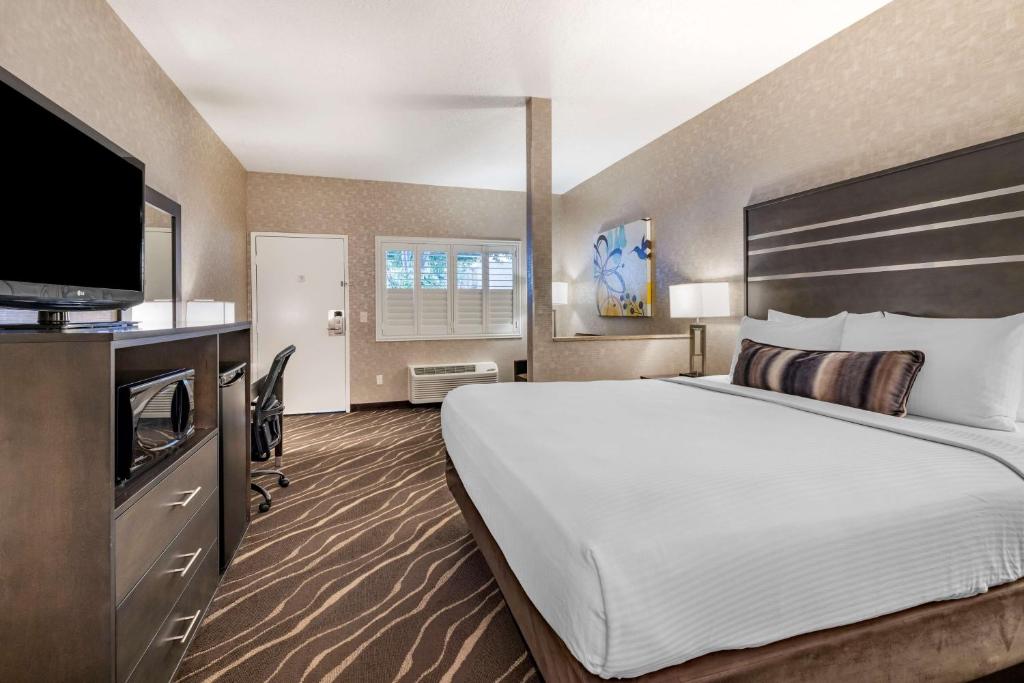 Best Western Plus Park Place Inn - Mini Suites的电视和&#47;或娱乐中心