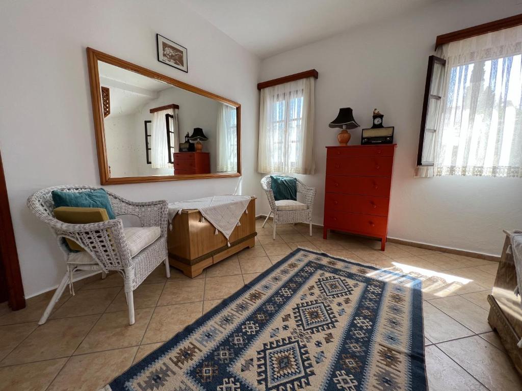 博德鲁姆卡亚膳食公寓的客厅配有镜子、椅子和地毯