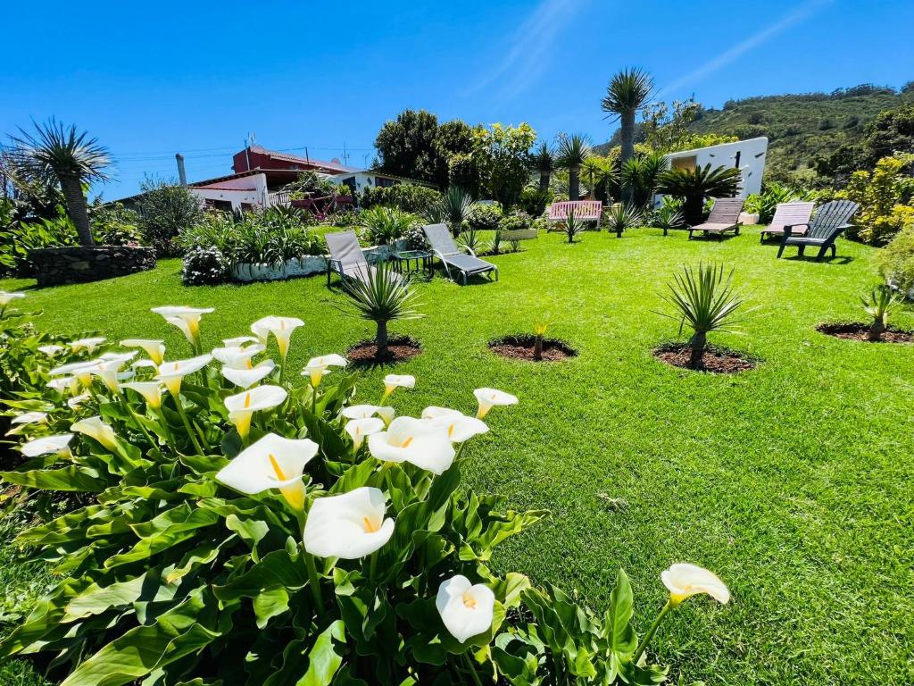 特格斯特CASA LAZARO, TEGUESTE的草上花白的花园
