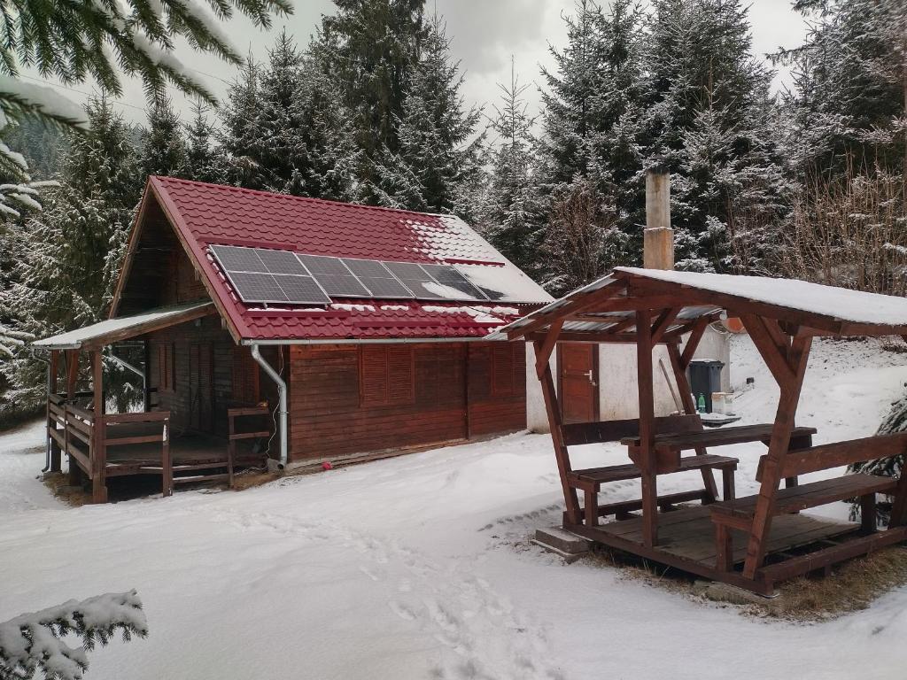红湖Cabana DUY-KAY的一间拥有太阳能屋顶的小屋,上面有雪