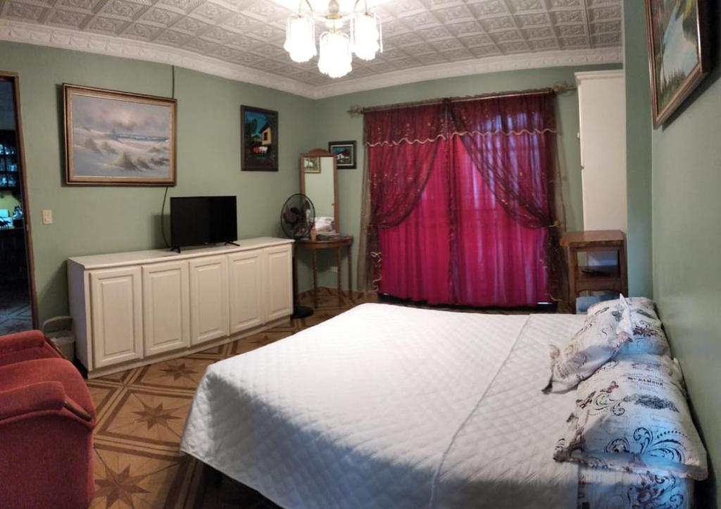 阿拉胡埃拉Alexander b&b的卧室配有白色的床和粉红色的窗户。