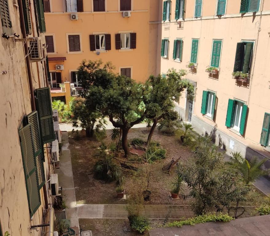 罗马CASA DI SILVIA a PORTA PIA的一座公寓庭院,庭院里种着树木,拥有建筑