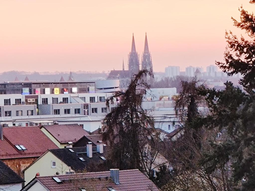 雷根斯堡Domblick Regensburg的享有城市景观,设有建筑和大教堂