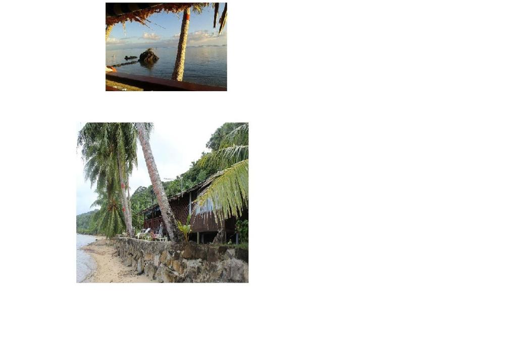 Parea纳黑托叶山林小屋的海滩和棕榈树照片的拼合物