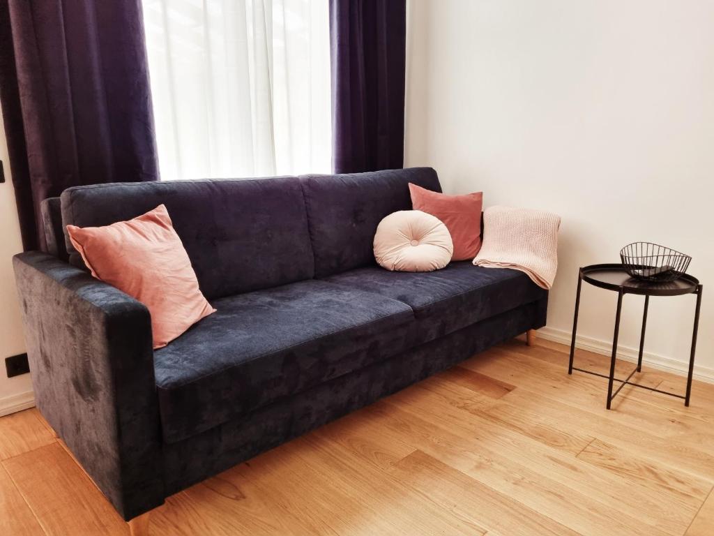 派尔努Supeluse 7-1 Guest Apartment by Annalie Apartments的客厅配有带枕头的蓝色沙发