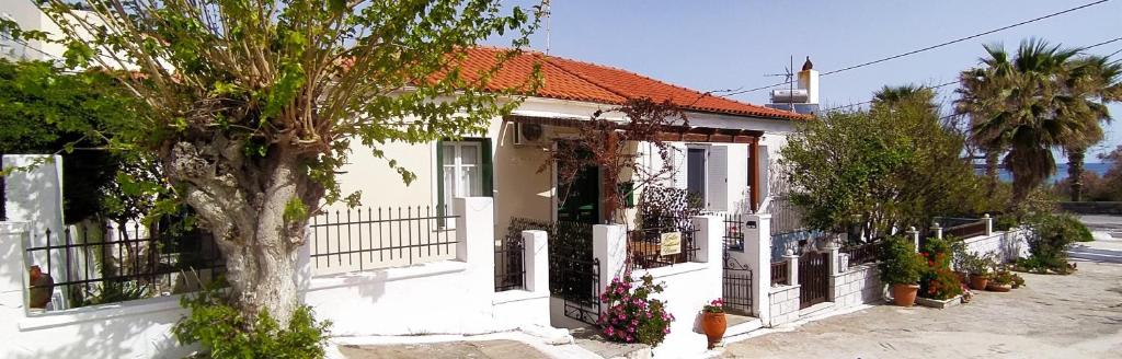 安德罗斯Kontos-Traditional house in Andros beach的前面有一棵树的白色房子